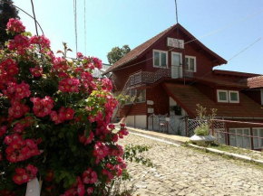 Pensiunea Floare de Colt Sinaia